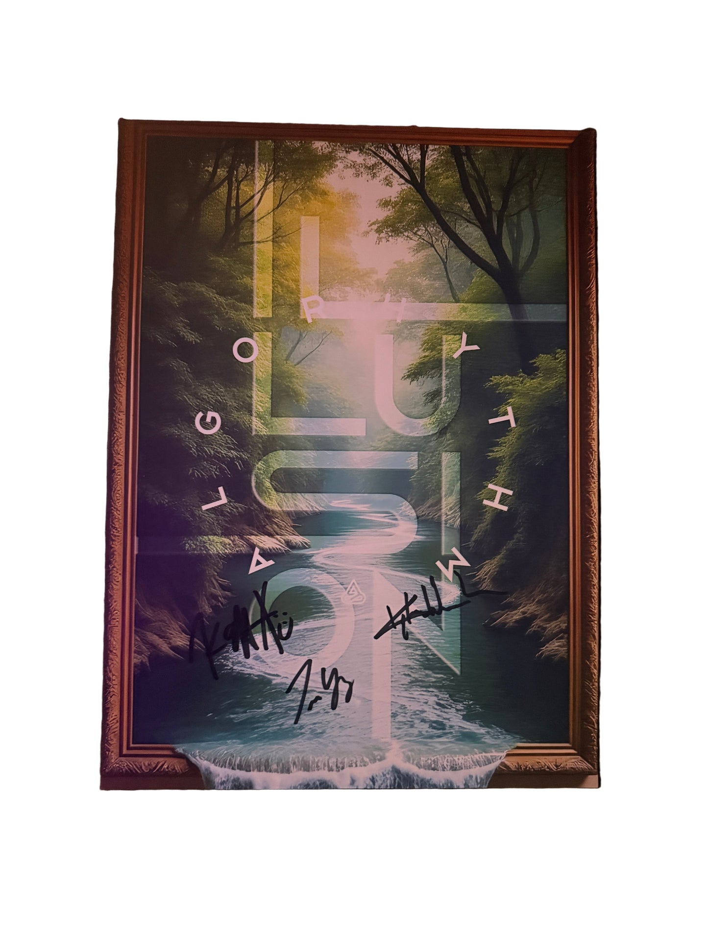 Illusion Poster (signed)